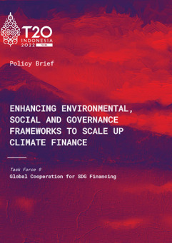 Enhancing Environmental, Social and Governance Frameworks To Scale Up Climate Finance (1)