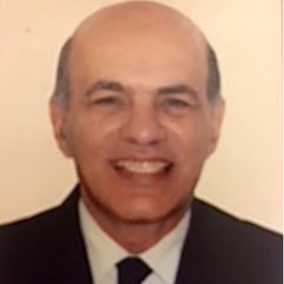 Hafez El-Salmawy (1)