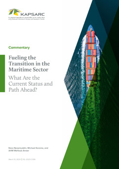 Fueling the Transition in the Maritime Sector: What Are the Current Status and Path Ahead? (1)