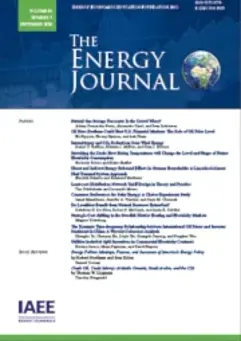 The Role of the Petrochemical Sector&amp;#8217;s Exports in the Diversification of the Saudi Economy. A Scenario Analysis of the Foreign and Domestic Price Shocks (1)