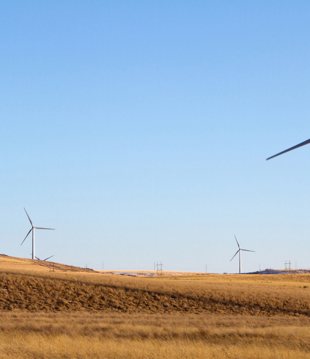 KAPSARC Discusses Managing Energy Transitions in Developing Countries in Partnership with ICRIER and  the T20 (1)