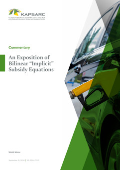 An Exposition of Bilinear “Implicit” Subsidy Equations (4)
