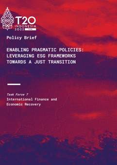 Enabling Pragmatic Policies: Leveraging ESG Frameworks Towards a Just Transition (1)
