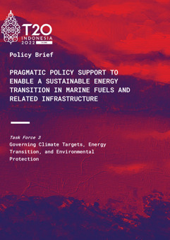 Pragmatic Policy Support to Enable a Sustainable Energy Transition in Marine Fuels and Related Infrastructure (1)