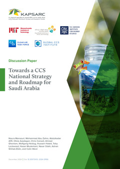 Towards a CCS National Strategy and Roadmap for Saudi Arabia (3)