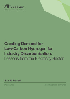 Creating Demand for Low-Carbon Hydrogen for Industry Decarbonization: Lessons from the Electricity Sector (1)