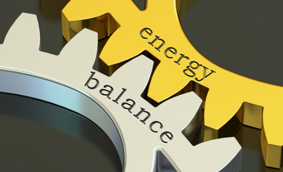 A Co-hosted Webinar with IEF to Promote Energy Open Data, Models and Tools (1)