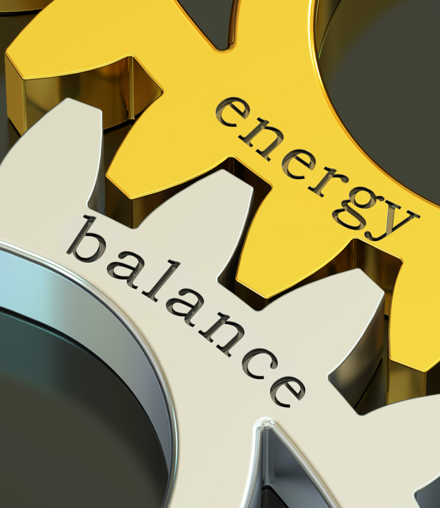 A Co-hosted Webinar with IEF to Promote Energy Open Data, Models and Tools (1)